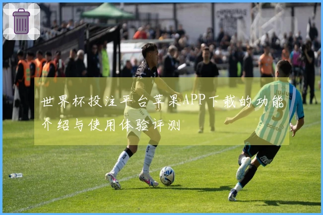 世界杯投注平台苹果APP下载的功能介绍与使用体验评测