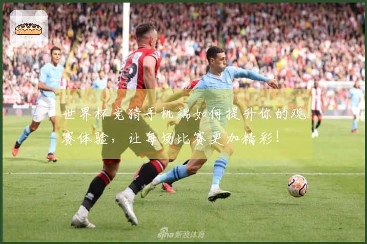 世界杯竞猜手机端如何提升你的观赛体验，让每场比赛更加精彩！
