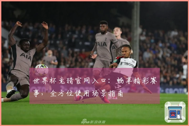 世界杯竞猜官网入口：畅享精彩赛事，全方位使用场景指南