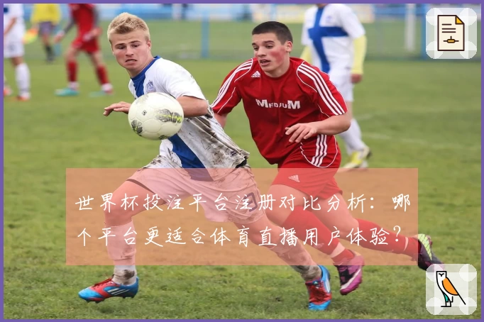 世界杯投注平台注册对比分析：哪个平台更适合体育直播用户体验？