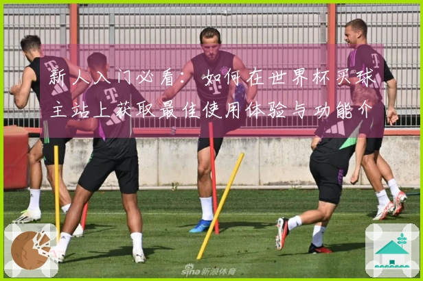 新人入门必看：如何在世界杯买球主站上获取最佳使用体验与功能介绍