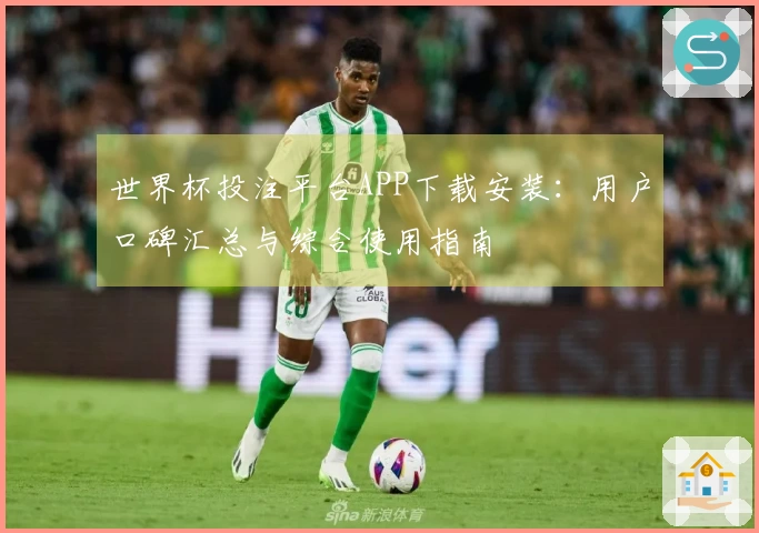 世界杯投注平台APP下载安装：用户口碑汇总与综合使用指南